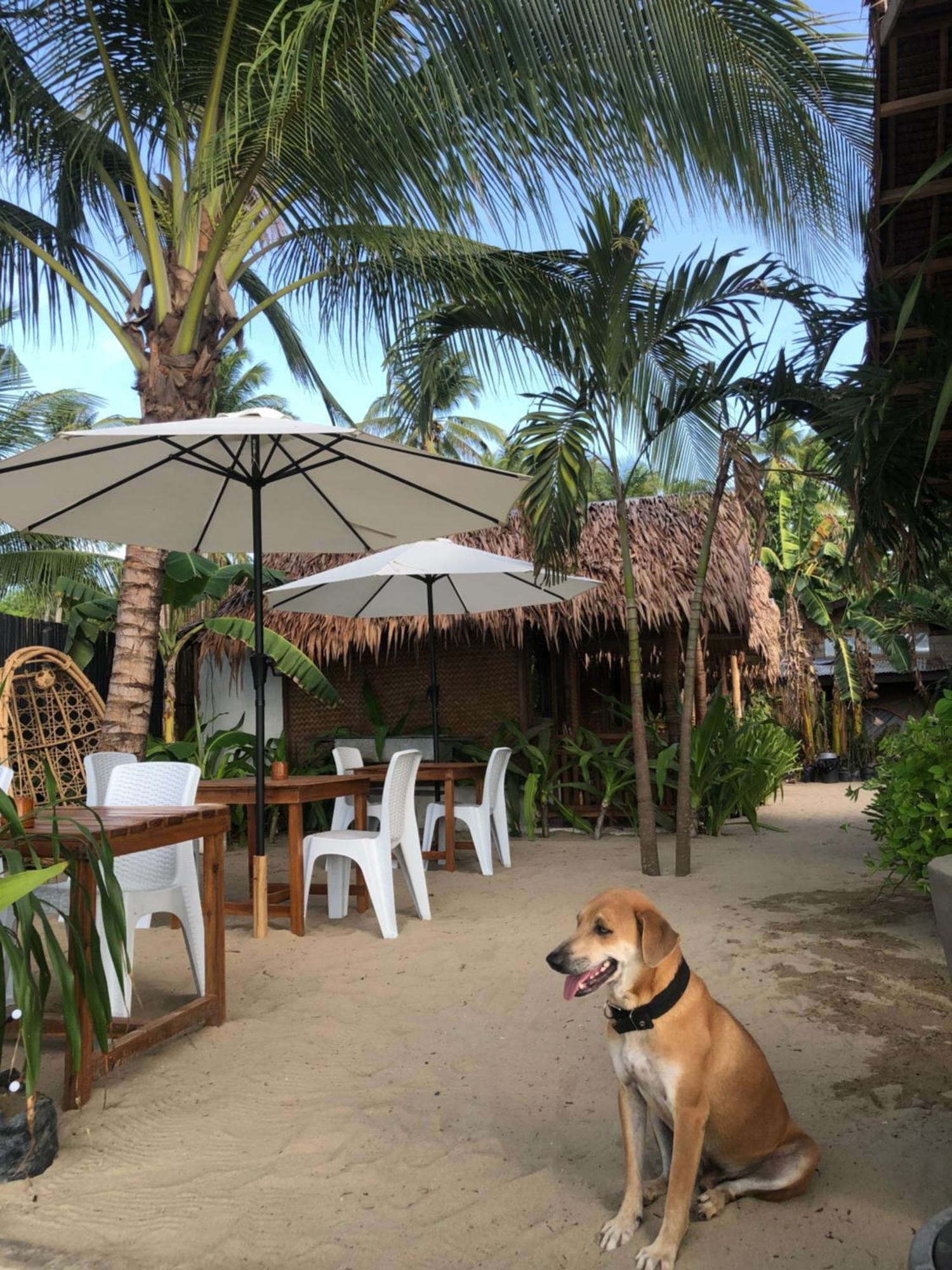 Zhaya'S Beach & Cottages El Nido Extérieur photo