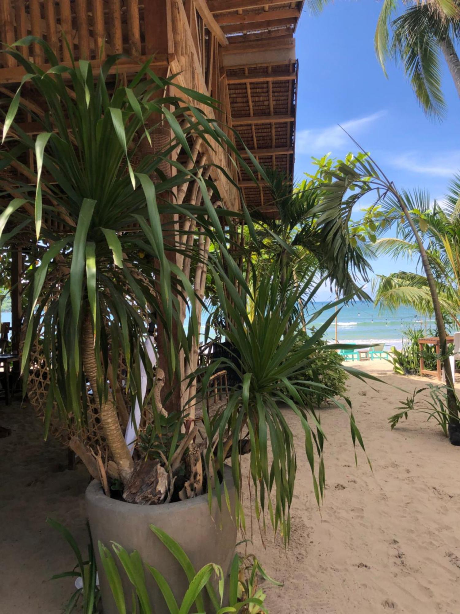 Zhaya'S Beach & Cottages El Nido Extérieur photo